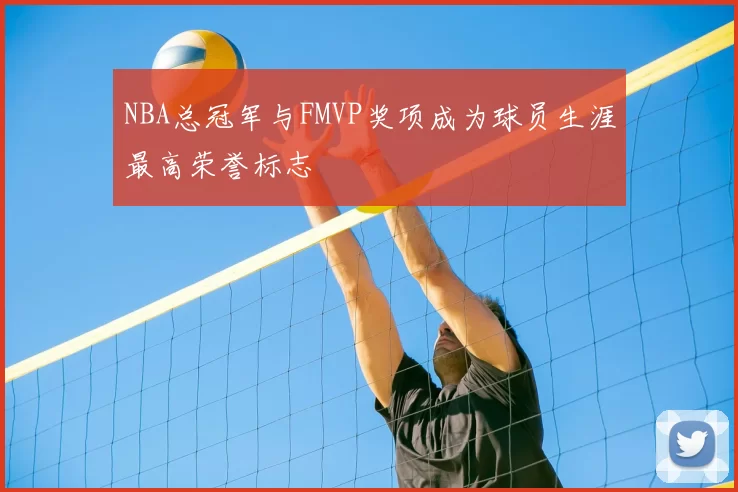 NBA总冠军与FMVP奖项成为球员生涯最高荣誉标志