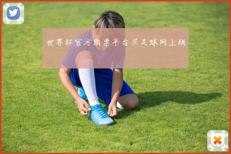 世界杯官方购票平台买足球网上线