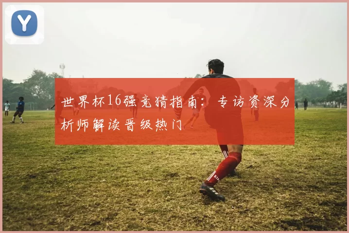 世界杯16强竞猜指南:专访资深分析师解读晋级热门