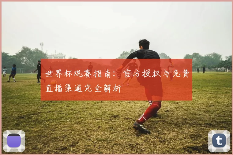 世界杯观赛指南：官方授权与免费直播渠道完全解析
