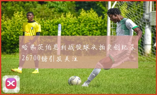 哈弗茨伯恩利战役球衣拍卖创纪录26700镑引发关注