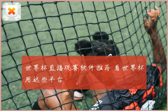 世界杯直播观赛软件推荐 看世界杯用这些平台