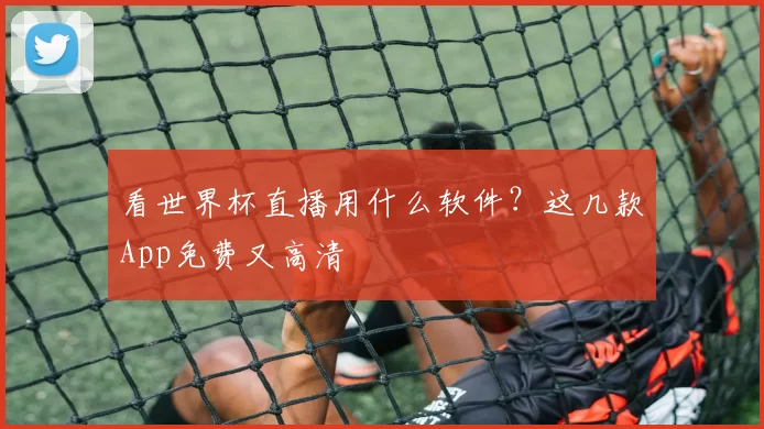 看世界杯直播用什么软件?这几款App免费又高清