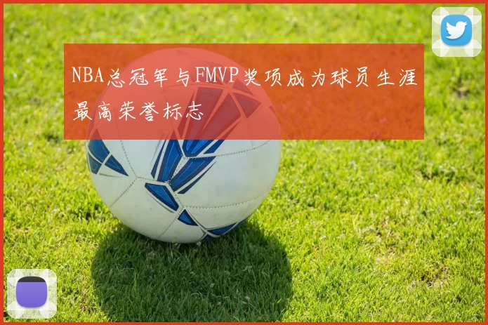 NBA总冠军与FMVP奖项成为球员生涯最高荣誉标志