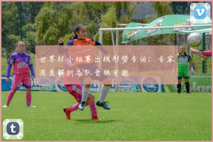 世界杯小组赛出线形势专访：专家深度解析各队晋级可能