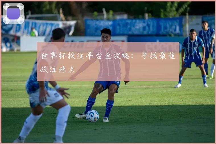 世界杯投注平台全攻略:寻找最佳投注地点