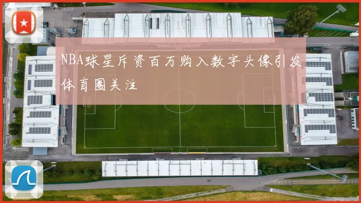NBA球星斥资百万购入数字头像引发体育圈关注