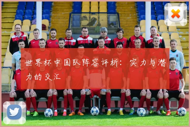 世界杯中国队阵容评析:实力与潜力的交汇