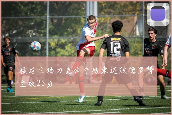 猛龙主场力克公牛结束连败德罗赞空砍25分